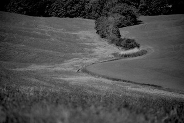 Obraz premium Italia panorami della Toscana in bianco e nero. Provincia di Siena,Val D'Orcia e Chianti Senese. Toscana, Italia 