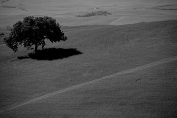 Obraz premium Italia panorami della Toscana in bianco e nero. Provincia di Siena,Val D'Orcia e Chianti Senese. Toscana, Italia 