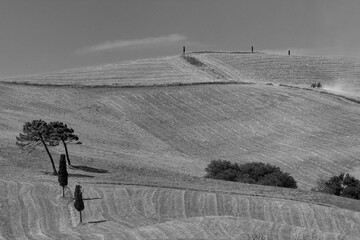 Naklejka premium Italia panorami della Toscana in bianco e nero. Provincia di Siena,Val D'Orcia e Chianti Senese. Toscana, Italia 