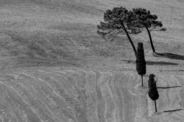 Naklejka premium Italia panorami della Toscana in bianco e nero. Provincia di Siena,Val D'Orcia e Chianti Senese. Toscana, Italia 