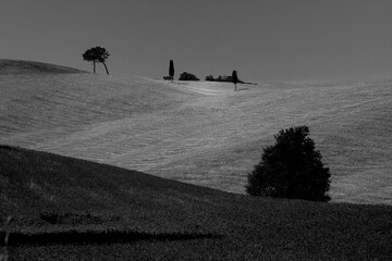 Naklejka premium Italia panorami della Toscana in bianco e nero. Provincia di Siena,Val D'Orcia e Chianti Senese. Toscana, Italia 