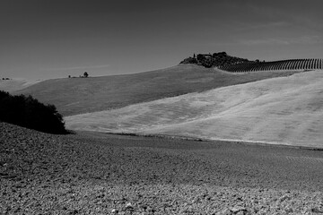 Naklejka premium Italia panorami della Toscana in bianco e nero. Provincia di Siena,Val D'Orcia e Chianti Senese. Toscana, Italia 