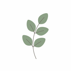 Obraz premium Stylized green sprig with five oval leaves on a white background