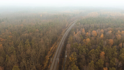 Obraz premium High viewpoint of tracks through colorful forest