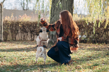 Fototapeta premium A young woman plays with her pug dog in an autumn park, training and bonding during an active outdoor walk surrounded by fallen leaves.