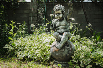 Obraz premium Weathered stone cherub statue in a lush garden. Vintage sculpture surrounded by green plants and wildflowers, natural daylight, decorative outdoor landscape detail.