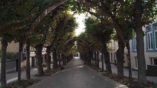 Valkenburg tree lined passage way. Valkenburg, the Netherlands - October 26, 2025 Valkenburg pedestrian area.