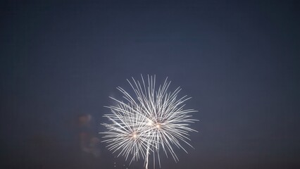 Fototapeta premium Fireworks bursting in the night sky during a celebration 