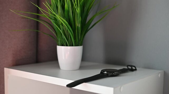 A watch rests on a table beside a potted plant. The setting features simple decorations and bright light coming in. This scene emphasizes daily life and indoor spaces