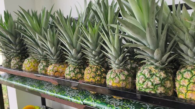Ripe pineapples are neatly stacked and ready for market. These freshly harvested fruits are perfectly arranged for display. Their vibrant golden husks signal peak sweetness for buyers.