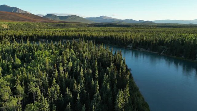 Drone shot revealing riverbend of Takhini River surrounded by forest with mountains beyond