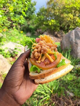 A baked beans sandwich