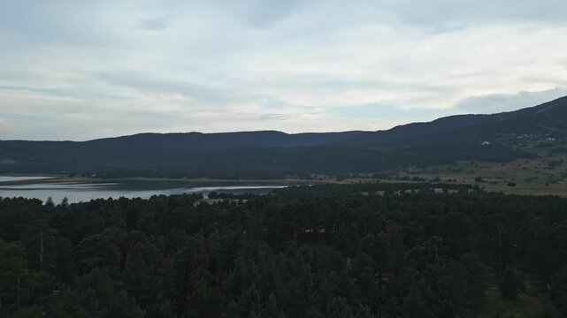 Cinematic drone footage sweeping over the lush pine canopies of the Capcir plateau toward the serene waters of Lac de Matemale in the French Pyrenees