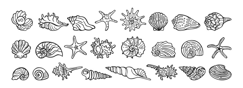 Set of various seashells and starfish in modern outline doodle style hand drawn vector illustration. Summer ocean and beach theme marine elements isolated perfect for coastal vacation tropical designs