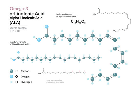 Omega-3 Alpha-Linolenic Acid (ALA) Chemical Structure and Structural Formula, 3D Molecular Model, Polyunsaturated Fatty Acid, Scientific Vector Illustration