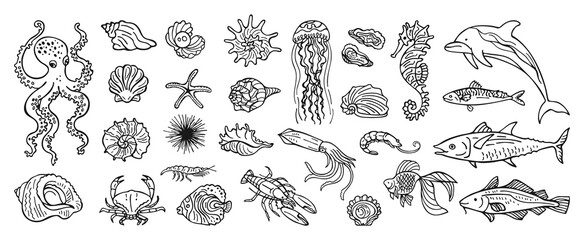 Hand drawn vector illustration set of underwater marine life featuring octopus, seahorse nautilus shell fish crab, lobster starfish seashells. Modern sketch and line art style, coastal ocean mood © neliakott