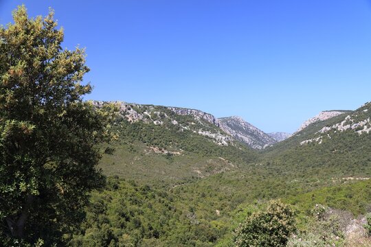 Sardinia inland mountain landscape of Supramonte mountains near Baunei. May in Sardinia.
