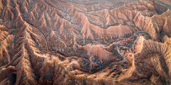 View of intricate canyons carved by time reveal a tapestry of earthy tones and rugged textures, under a clear sky, Escalante, Utah, United States.