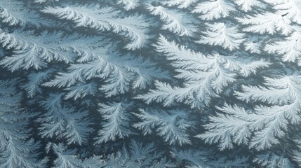 Frozen Patterned: A captivating macro shot reveals a delicate pattern formed by ice crystals. It showcases the intricate beauty of the freezing process.