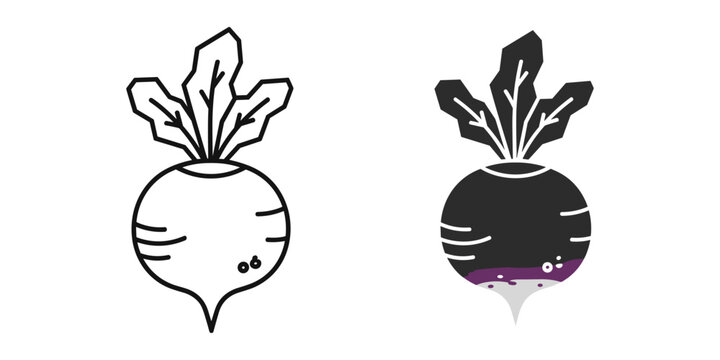 Whimsical Radish Illustrations