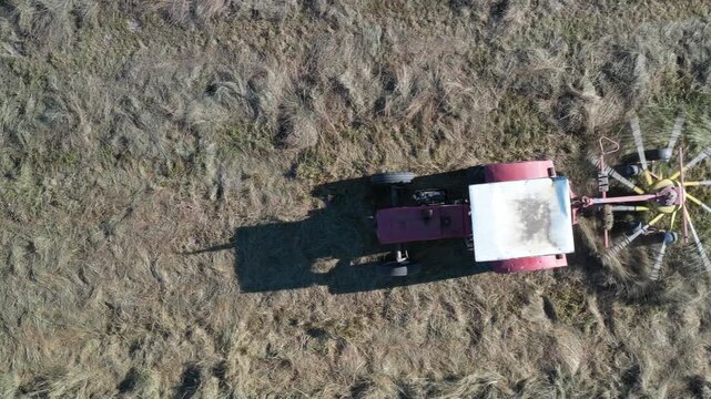 Aerial view of a tractor with a rake attachment creating hay rows on a field of dry grass, producing contrasting patterns, Bran, Brasov, Romania.