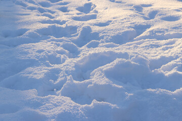 Deep snow at sunset. The meadow is covered with white snow. Footprints in the snow, snowdrifts. Winter landscape. Winter snow background, side view with selective focus