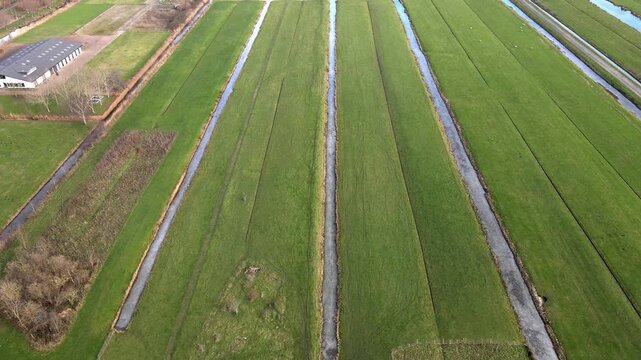Aerial view of lush green fields intersected by narrow ditches, creating a geometric pattern over the landscape, Delft, South Holland, Netherlands.