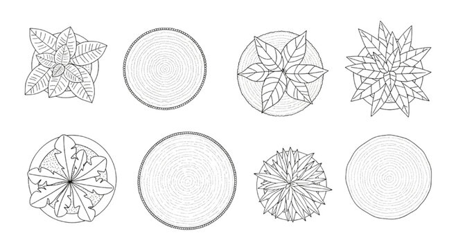Vector Top View Architectural Floor Plan Symbols Featuring Potted Plants and Rugs Line Art