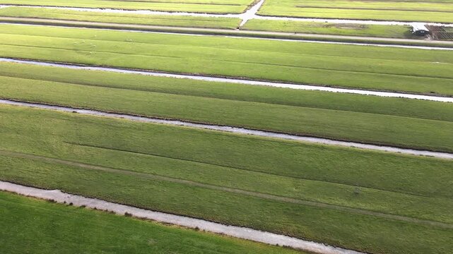 Aerial view of vibrant green fields intersected by narrow waterways, creating a striking geometric pattern across the landscape, Delft, South Holland, Netherlands.