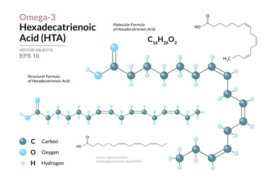 Omega-3 Hexadecatrienoic Acid (HTA) Chemical Structure and Structural Formula, 3D Molecular Model, Polyunsaturated Fatty Acid, Scientific Vector Illustration