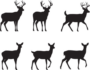 Silhouettes of majestic deer and fawns, showcasing their elegant poses and majestic antlers, perfect for nature and wildlife themes