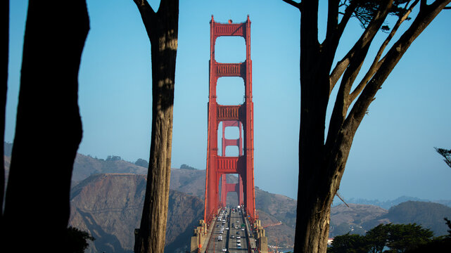 View of the iconic red Golden Gate Bridge piercing the blue sky, framed by dark trees, a testament to human engineering and nature's beauty, San Francisco, California, United States.