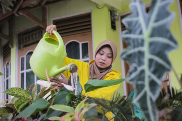 A young Muslim woman wearing a hijab and a casual yellow hoodie waters potted plants using a green watering can on her home terrace in the morning © Jamaludinyusup