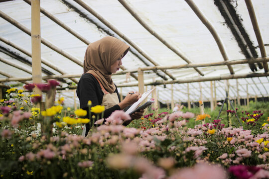 A young Asian Muslim woman wearing a hijab writes notes on a clipboard while working with flowers inside a greenhouse. She inspects plant health and growth among blooming plants