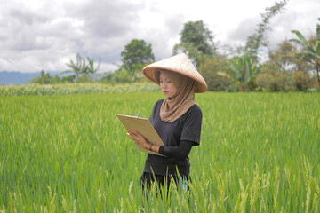 A young Muslim woman farmer wearing a hijab and a traditional woven bamboo conical hat stands in a lush green rice field while writing on a clipboard. She Inspects the growth and health of rice plants