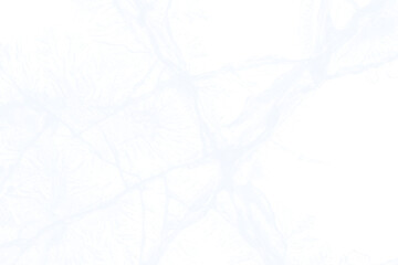 Isolated Cracked Ice Frost Overlay Texture. Transparent Frozen Surface, Winter Ice Crystals, Cold Atmosphere.