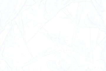 Isolated Cracked Ice Frost Overlay Texture. Transparent Frozen Surface, Winter Ice Crystals, Cold Atmosphere.