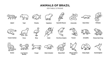 Obraz premium Illustration of Brazilian Animals with editable stroke
