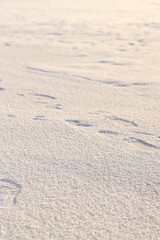 Frozen river covered with ice and snow, side view with selective focus. Snow sparkles in the sun. Frozen surface of a river or lake covered with snow, sparkling snow crystals. Winter landscape