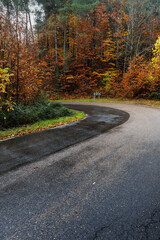 Obraz premium Wet Road on a Sharp Curve Through Autumn Forest