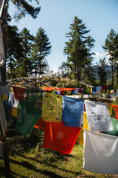 View of vibrant prayer flags fluttering in the breeze against a backdrop of lush green trees and a clear blue sky, Kiki La Pass, Bumthang, Bhutan.