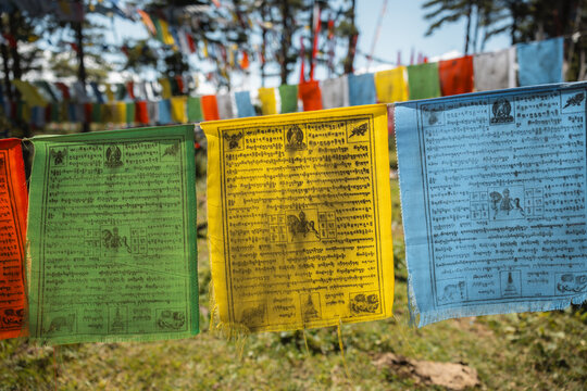 View of prayer flags flutter with vibrant hues against the backdrop of lush greenery and towering trees, a spiritual tapestry woven into the landscape, Kiki La Pass, Bhutan.