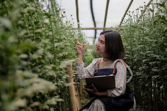 Young Asian woman florist with short hair wearing a gardening apron writes notes on a clipboard while checking flower growth inside a greenhouse. Floriculture, plant monitoring, and gardening concept