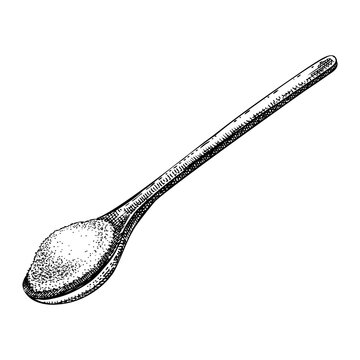 Hand drawn spoon with spice powder vector illustrations. Ground spice sketch. Organic cooking ingredient, herbal medicine, food packaging design. NOT AI generated