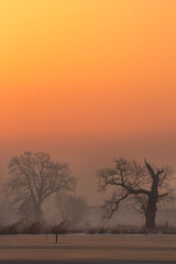 Wschód słońca nad brzegiem stawu, tapeta. © mycatherina