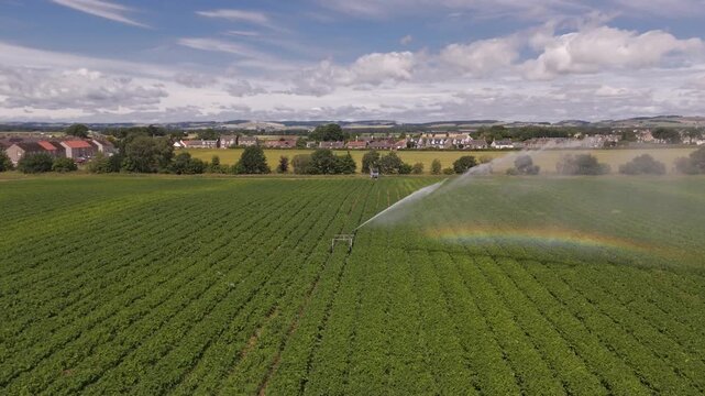 Aerial view of irrigation system watering crops, creating a rainbow amidst the lush green field, contrasting with the town in the background, Cupar, Scotland, United Kingdom.
