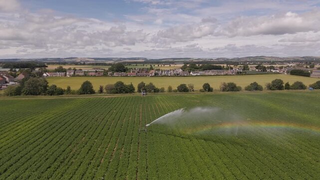 Aerial view of a vibrant green field being irrigated, creating a rainbow against the backdrop of a town, Cupar, Scotland, United Kingdom.