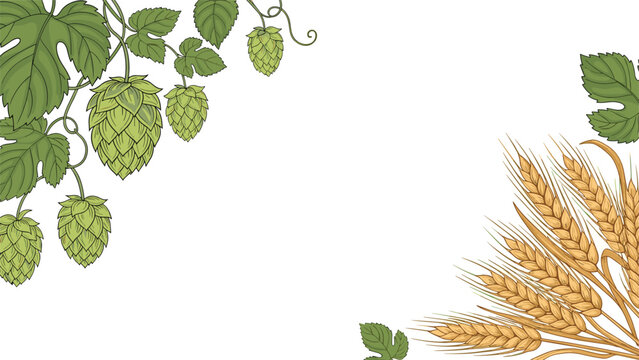 Vintage-style frame with corners decorated with green hop vines and golden ears of barley, the primary ingredients for brewing beer.