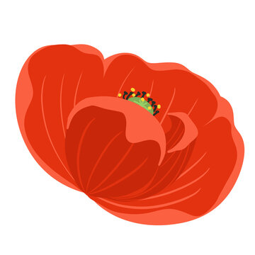Poppy clower