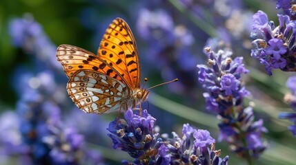 Vibrant Butterfly Perched on Purple Lavender Flowers Under Bright Sunlight in a Garden Setting with Nature's Beauty on Display